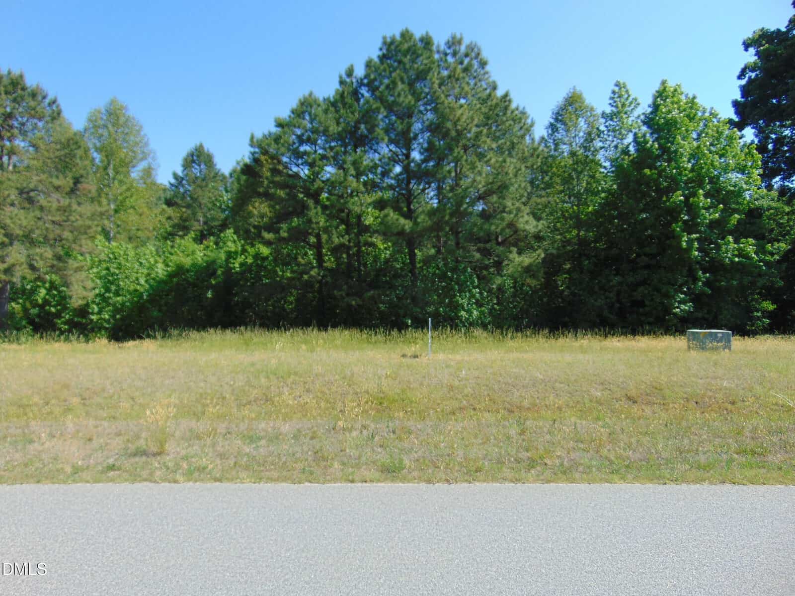 A grassy, vacant lot with a mix of tall and short grass sits beside a paved road. Dense green trees and shrubs form a forested background under a clear blue sky.
