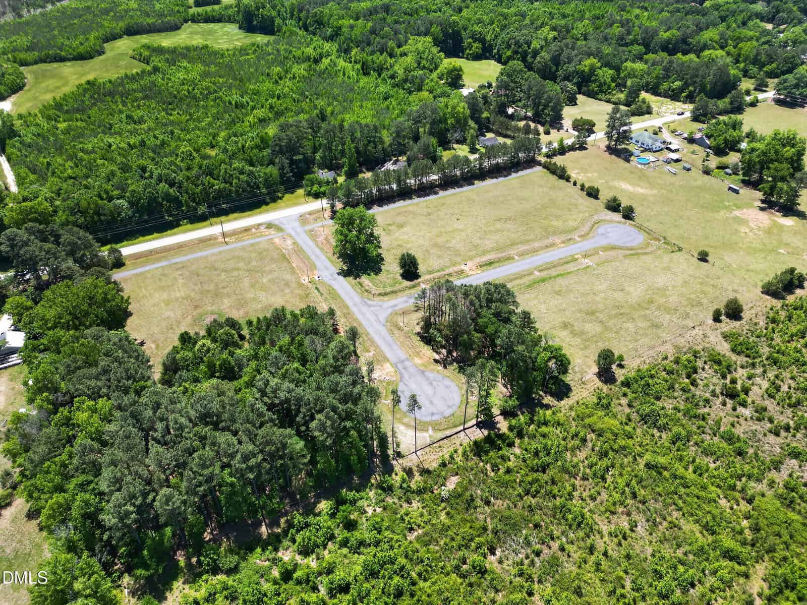 Aerial view of a rural area with a curved paved road, grassy fields, scattered trees, and dense forest in the background on a sunny day.