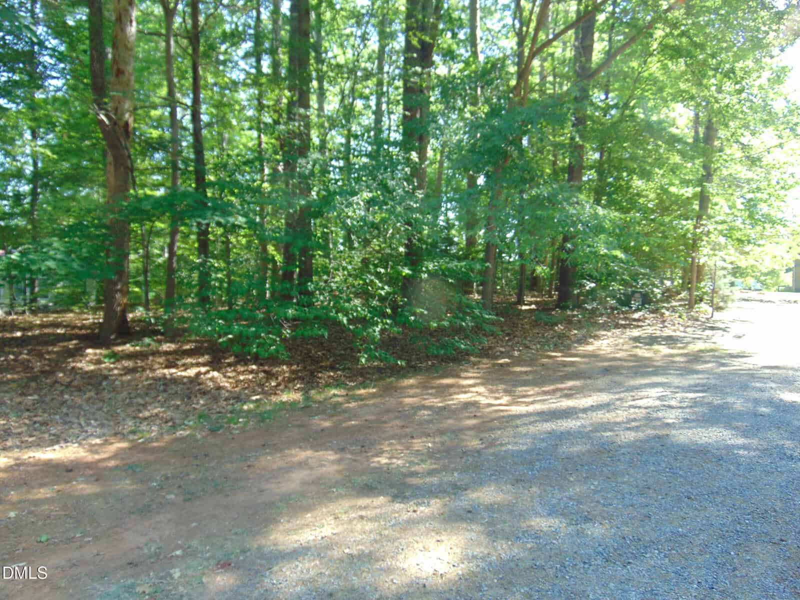 A wooded area with tall trees and dense green foliage next to a gravel path on a sunny day. Sunlight filters through the trees, casting dappled shadows on the ground.