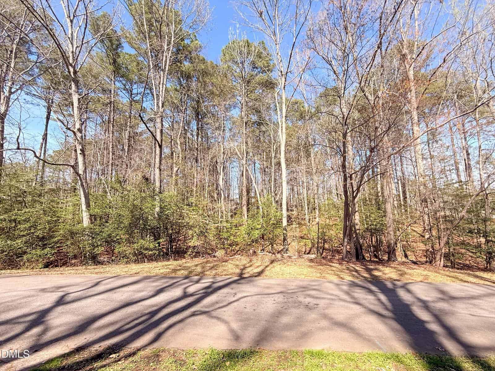 A paved road runs in front of a wooded area with tall, leafless trees under a clear blue sky. Shadows from the trees stretch across the road, and sparse green bushes grow near the tree line.