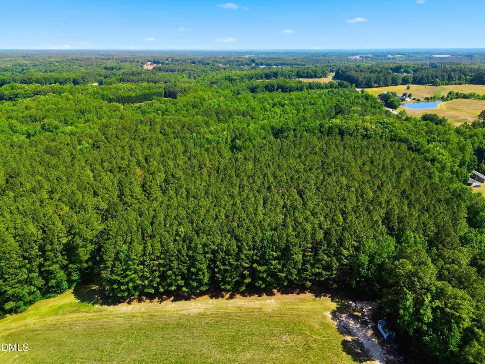 Aerial view of a dense green forest bordered by open grassy fields, with clear blue sky and scattered clouds above, and more trees and fields stretching into the distant horizon.