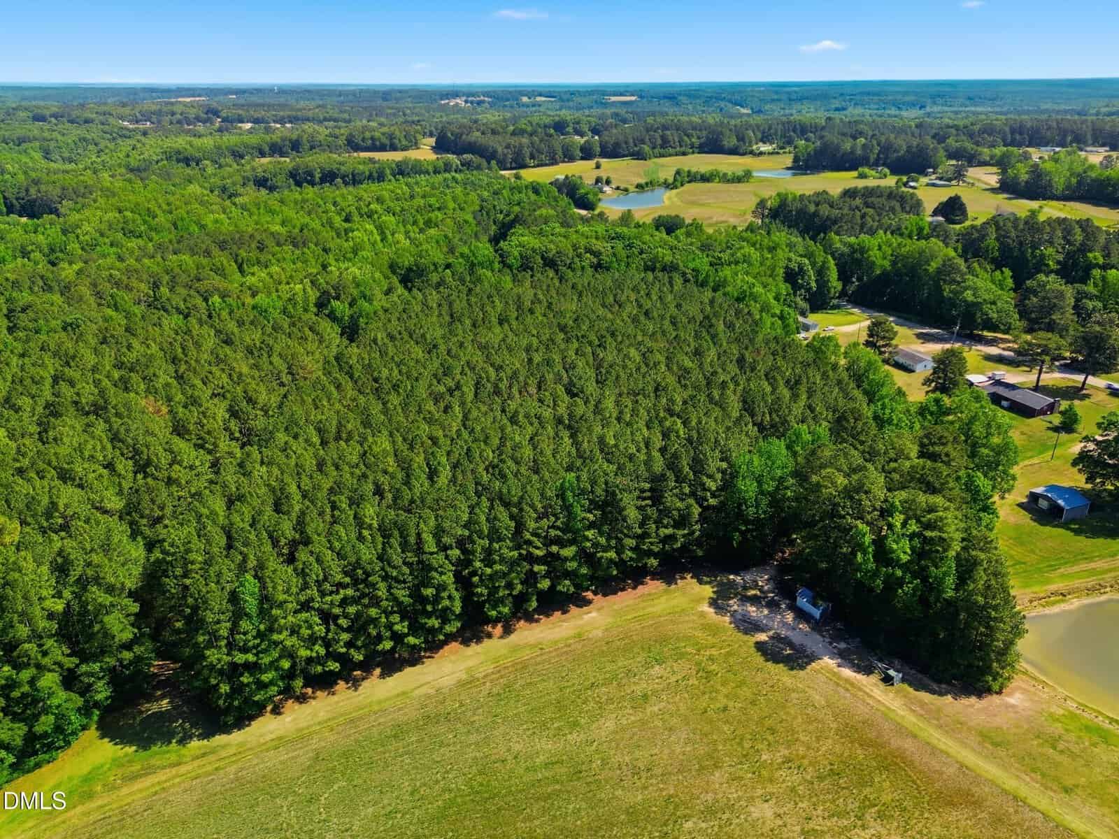 Aerial view of a dense, green forest surrounded by open fields, a pond, and a few scattered buildings under a clear blue sky.