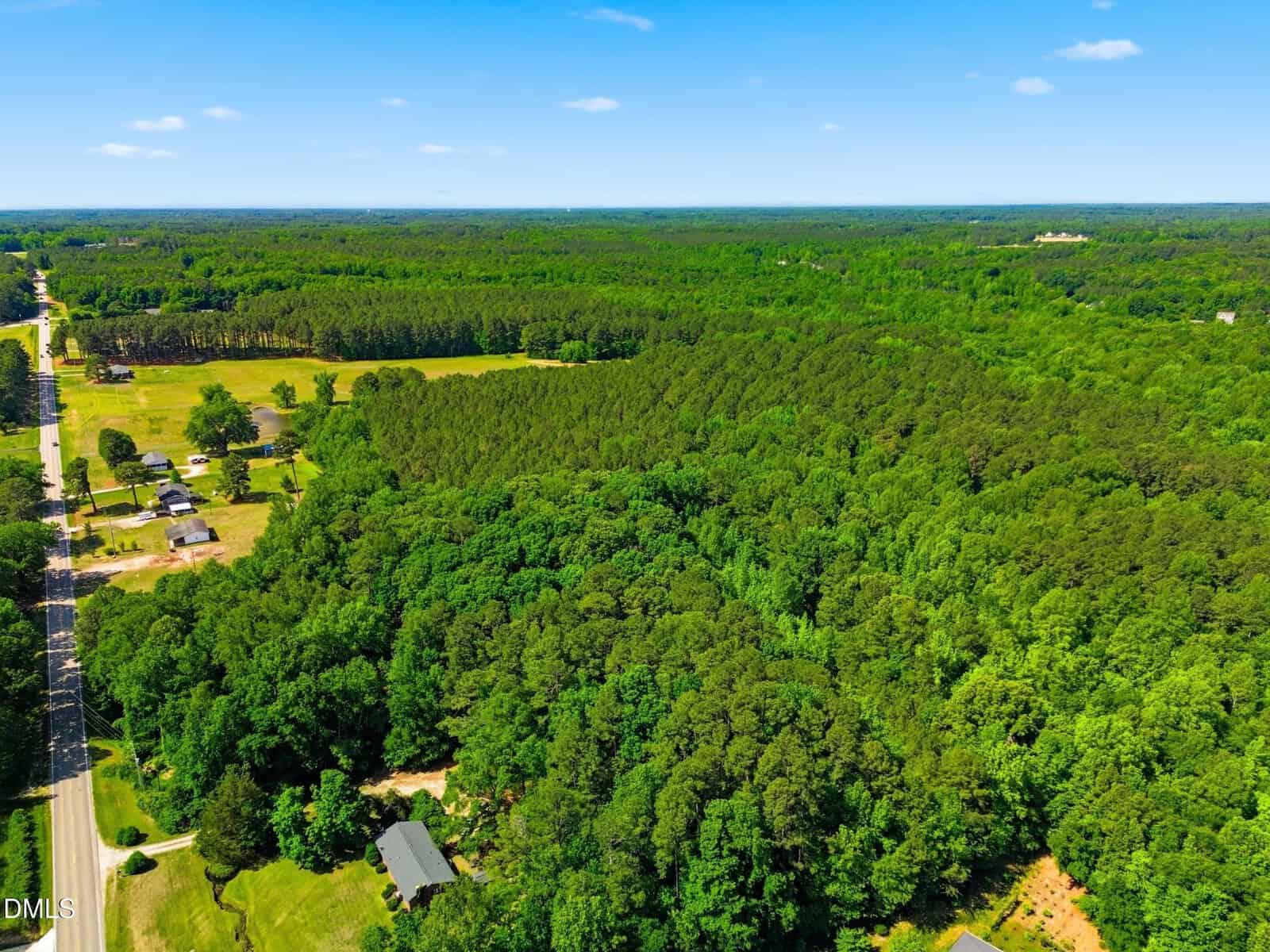 Aerial view of a lush, green forest bordered by rural homes, open fields, and a road under a clear blue sky.