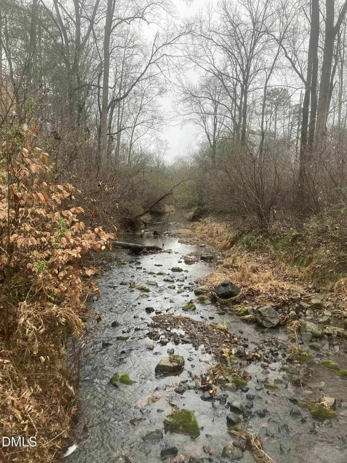A shallow creek flows through a forest of bare trees on a cloudy day, with rocks and fallen leaves scattered along the water and banks. Some bushes and small plants grow along the edges.