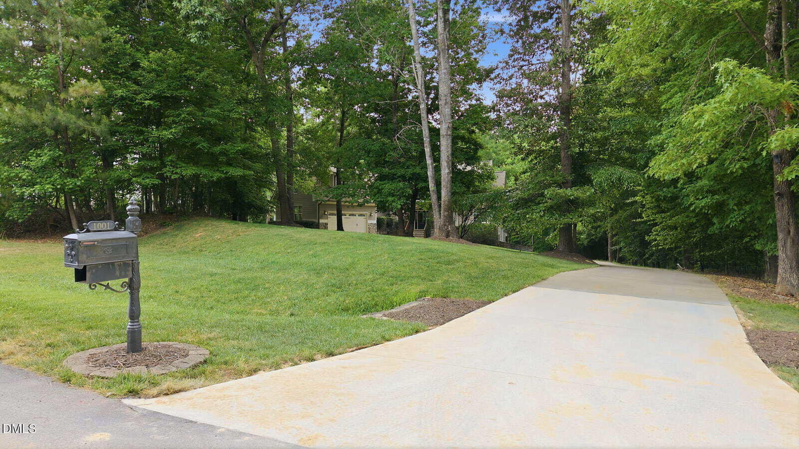 A long concrete driveway curves uphill through a grassy yard with trees on both sides, leading to a house partially visible in the background. A black mailbox stands at the edge of the road.