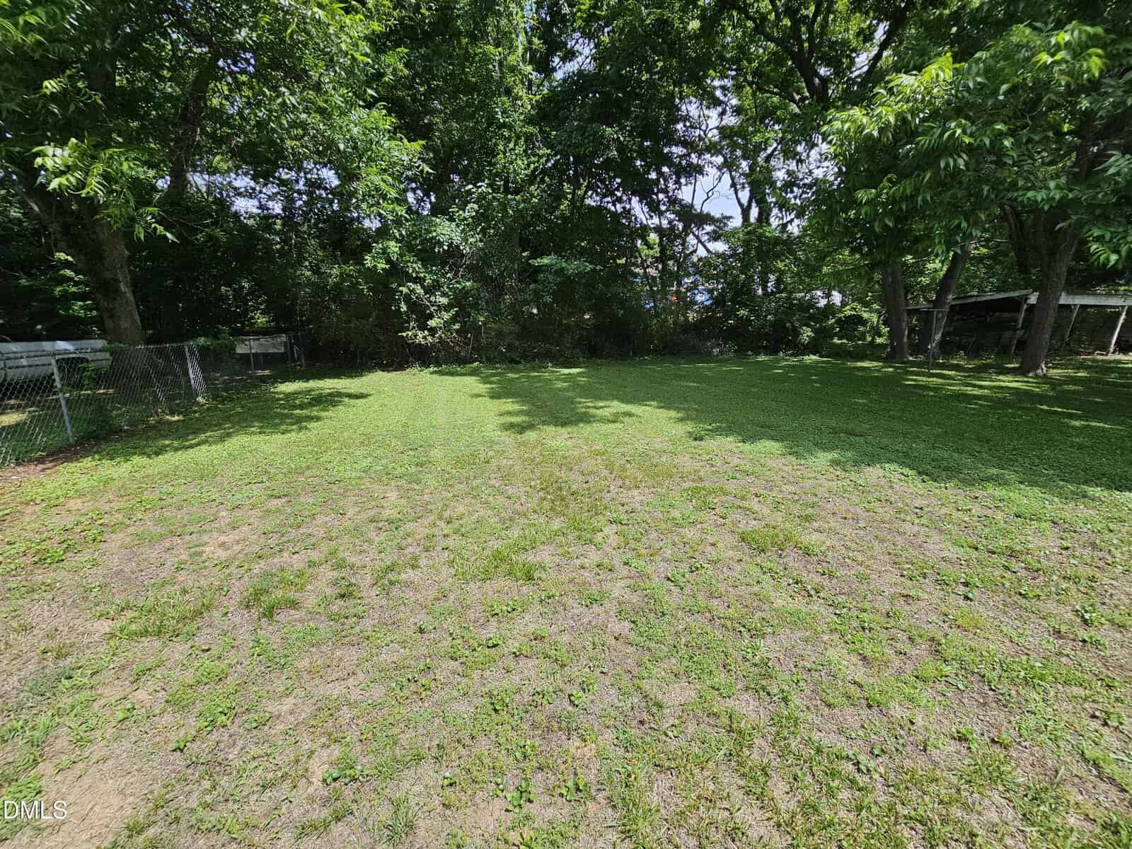 A grassy backyard with patches of bare ground, surrounded by tall trees and partially enclosed by a chain-link fence, under bright sunlight.