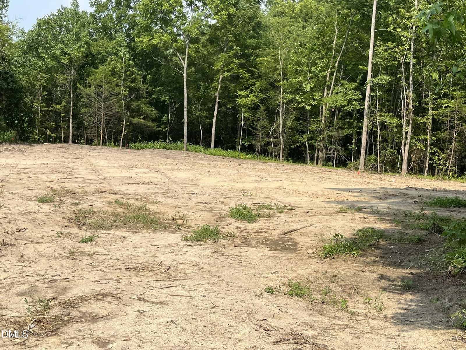 A cleared, mostly bare patch of land with sparse grass and weeds, surrounded by tall green trees under a bright sky.