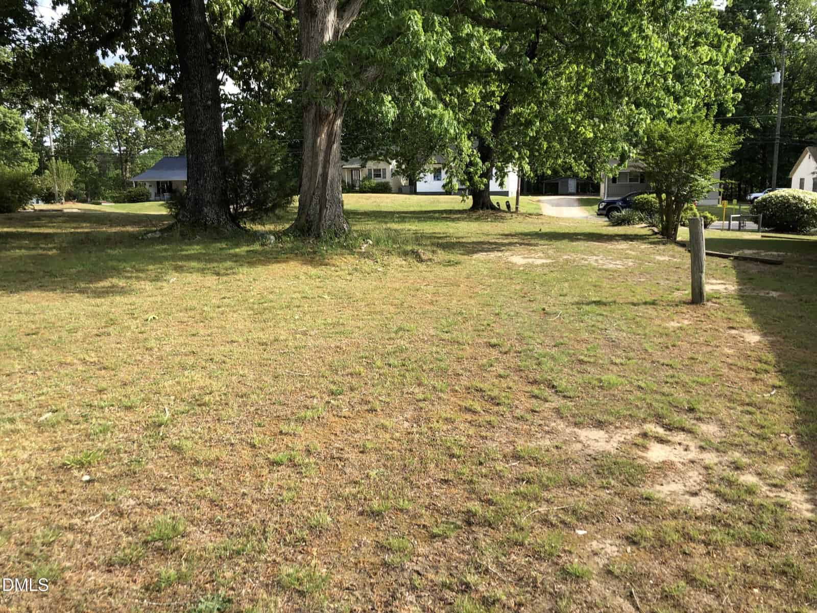 A grassy, partially bare yard with large trees providing shade. In the background, there are houses, a driveway, and a utility pole. The scene is bright and green, suggesting a sunny day in a suburban neighborhood.