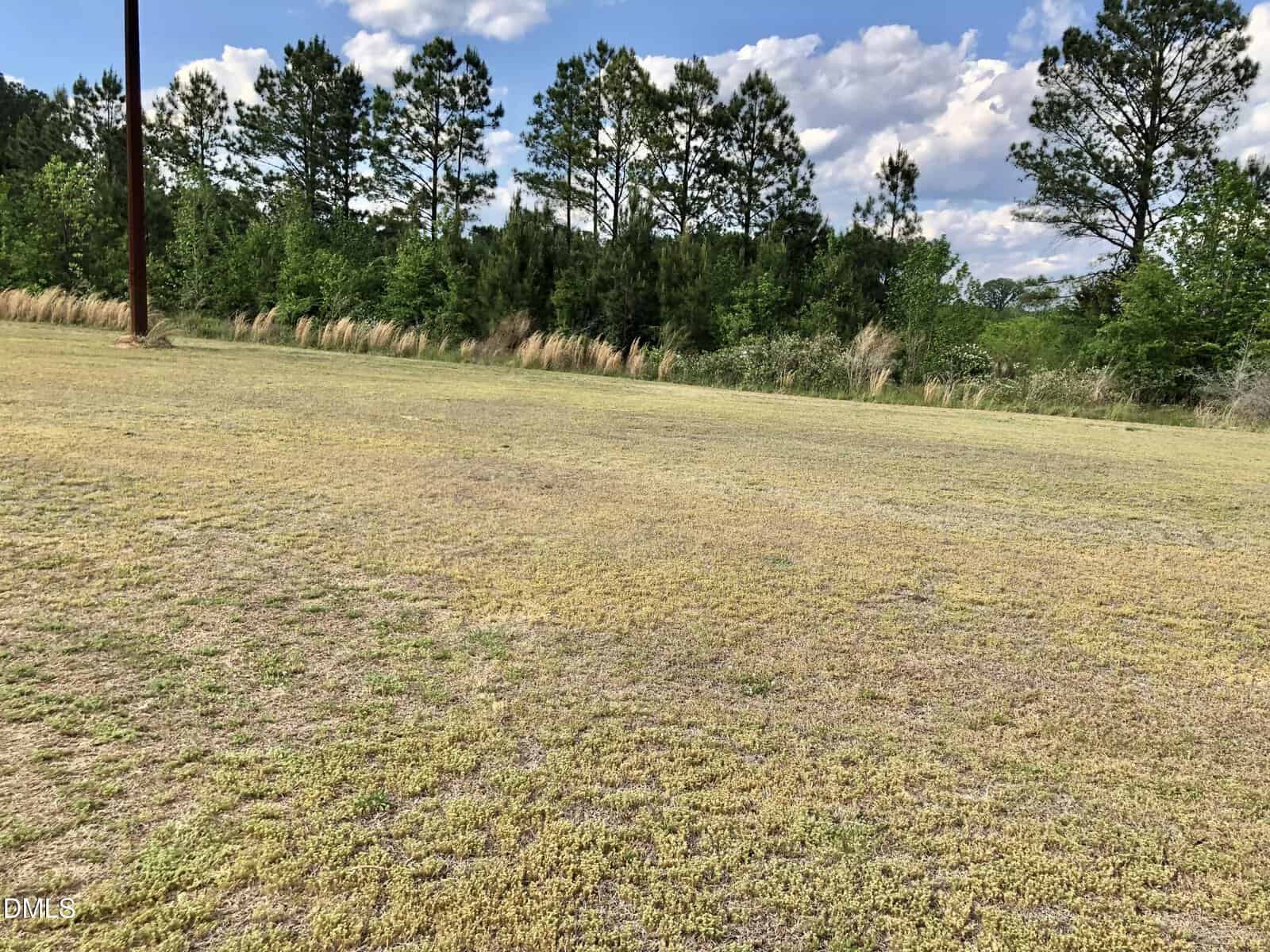A grassy field with patches of yellow and green, bordered by tall trees and bushes, under a partly cloudy blue sky. A wooden utility pole stands on the left side of the image.