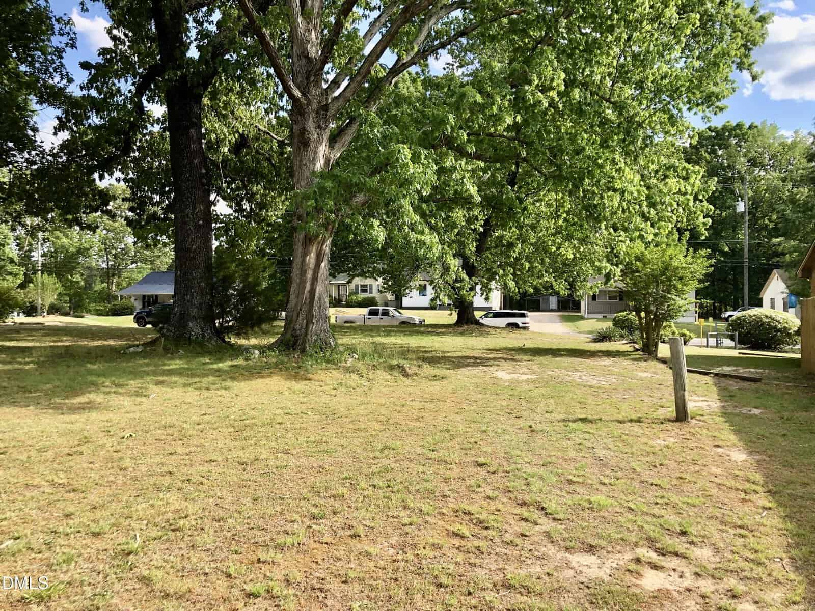 Sunny yard with patchy grass and large leafy trees, bordered by a quiet street. Several houses and parked cars are visible in the background through the trees.