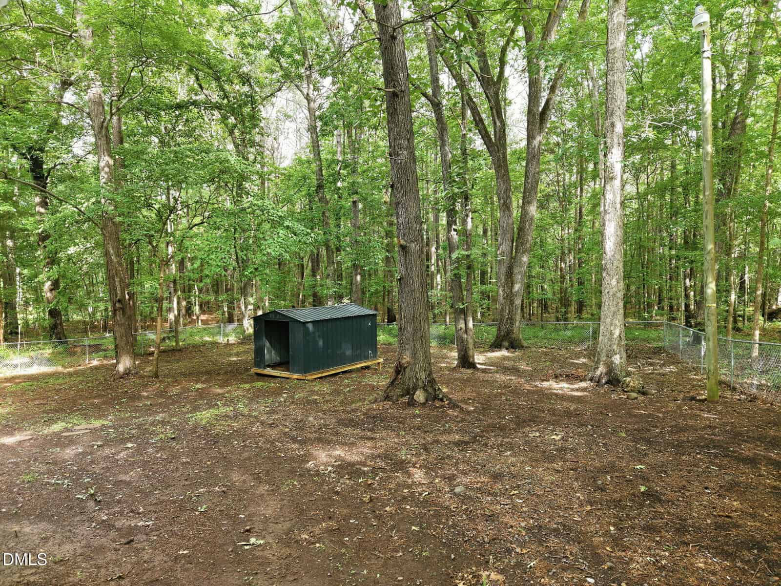 A fenced backyard with tall trees, a small dark green shed on the left, patchy grass, and a utility pole on the right, surrounded by dense forest.