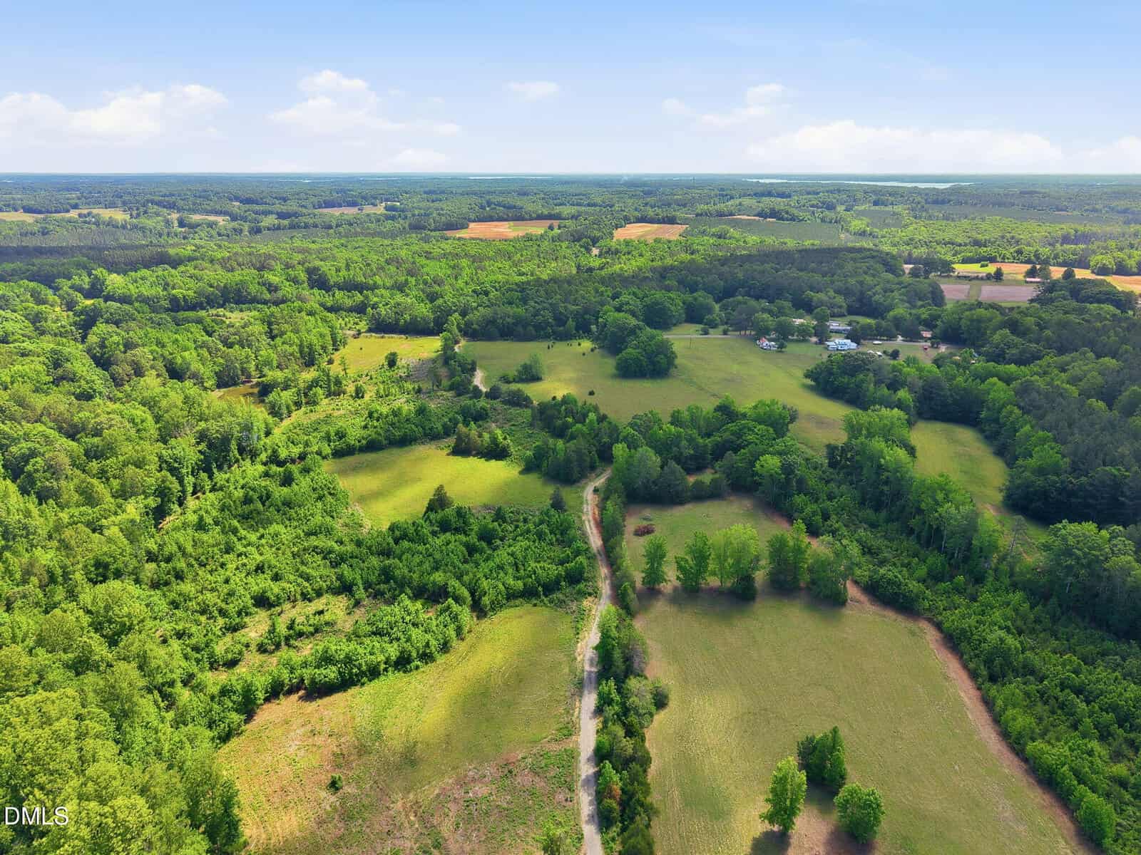 Aerial view of a rural landscape featuring open grassy fields, patches of dense green forest, scattered trees, and a small cluster of buildings under a blue sky with fluffy clouds.