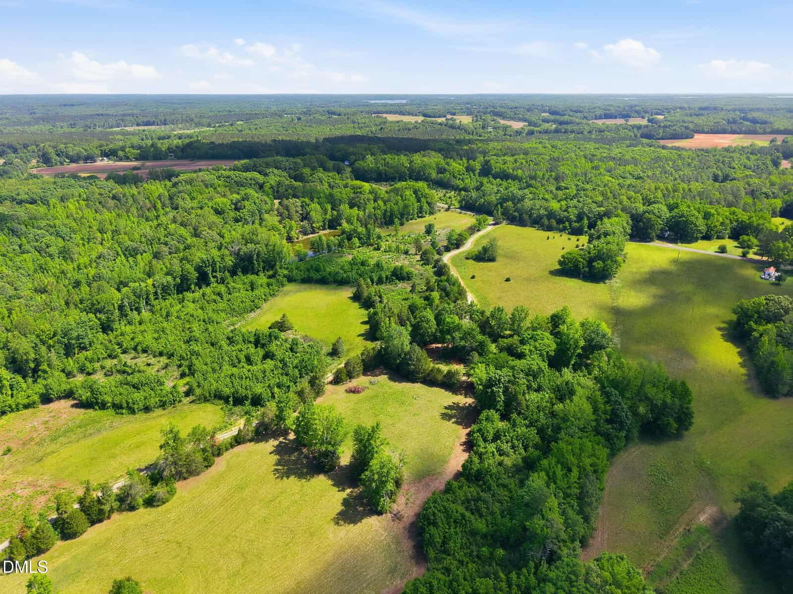 Aerial view of green fields and dense forest under a blue sky with scattered clouds, showing rolling countryside and patches of open grassy land.