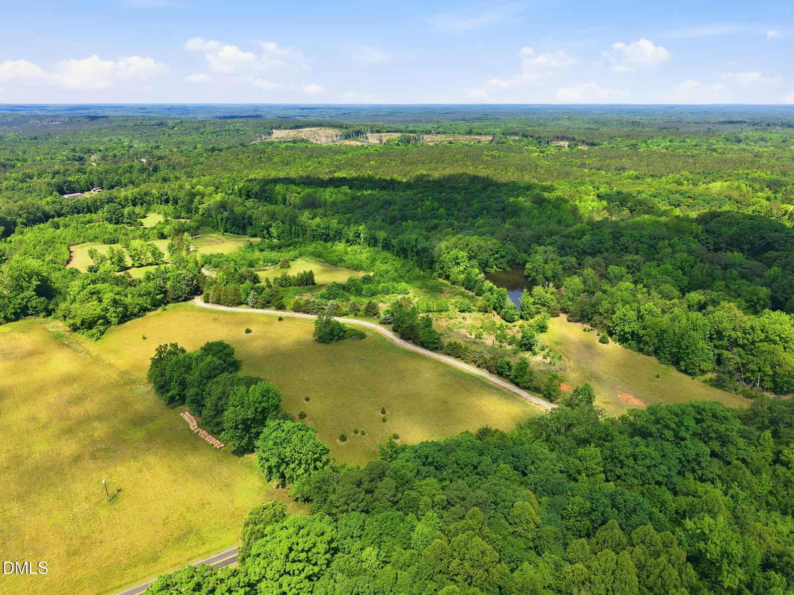 Aerial view of a lush, green rural landscape with open fields, clusters of trees, a winding road, and a small pond under a blue sky with scattered clouds.