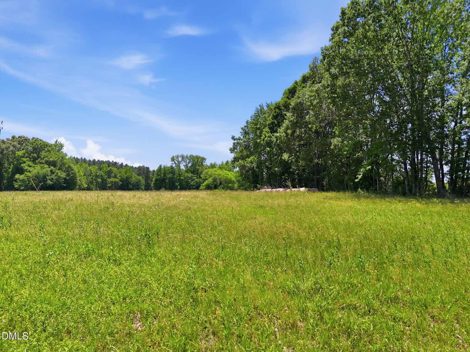 A wide grassy field under a bright blue sky with wispy clouds, bordered by tall green trees on the right and background.