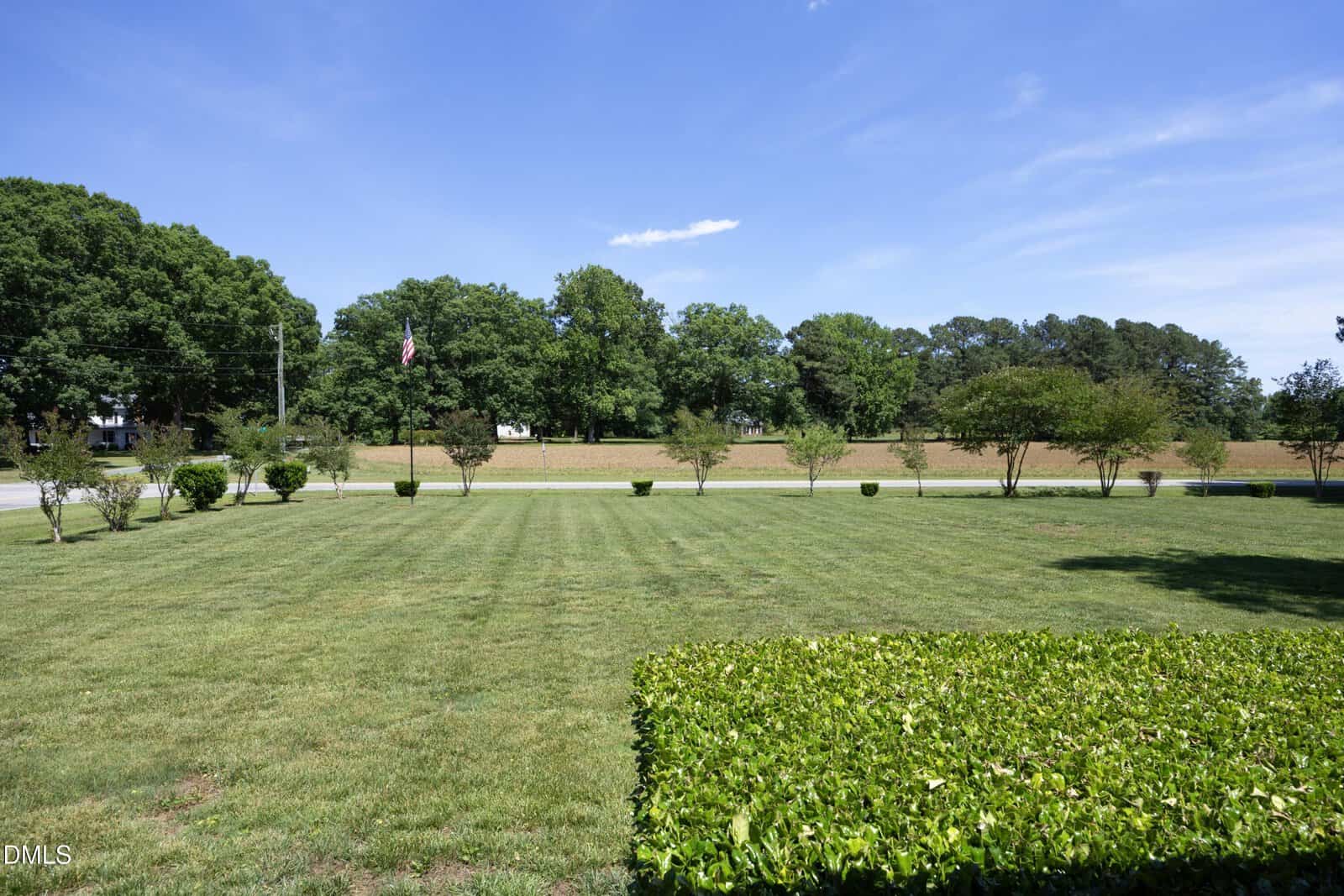 A large, well-maintained grassy yard with trimmed hedges and young trees, bordered by a road and dense green trees under a blue sky with a few clouds.