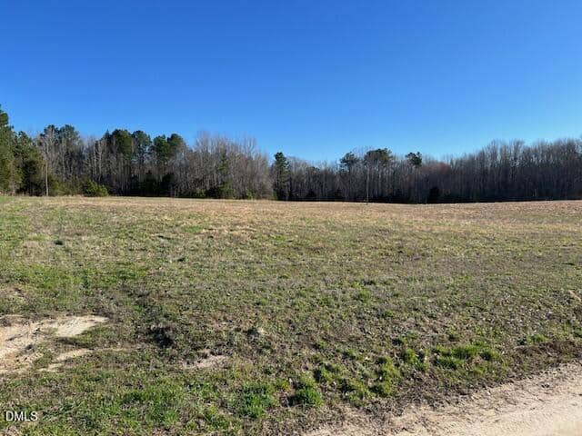 A grassy open field under a clear blue sky, bordered by leafless trees and pine trees in the background. A patch of sandy soil is visible in the foreground.