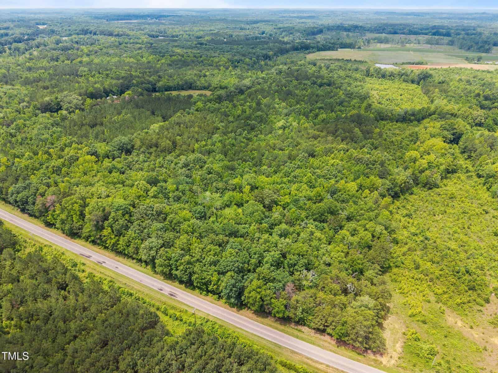 Aerial view of a rural landscape with dense green forest, a road running alongside the trees, and open fields in the background under a cloudy sky.