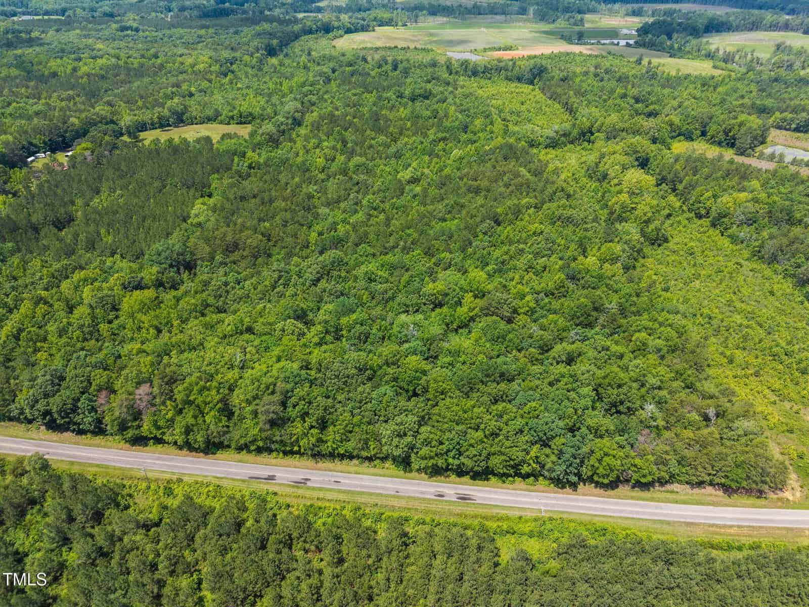 Aerial view of a dense green forest bordered by a straight road, with a few cars driving and open fields visible in the distant background.
