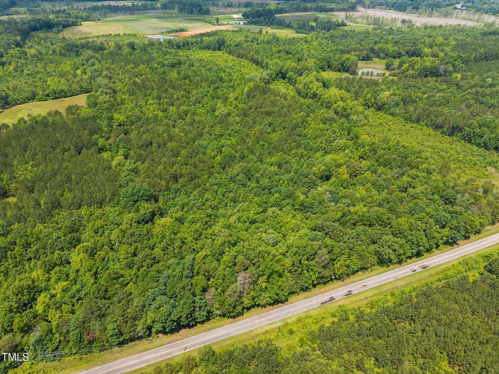 Aerial view of a densely wooded forest with a two-lane road running along the edge; fields and more trees are visible in the background.