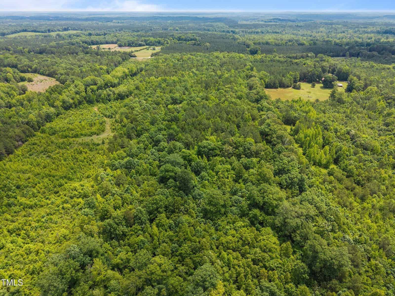 Aerial view of a vast, densely wooded landscape with rolling green treetops, open fields in the distance, and a few scattered buildings. The sky is mostly clear, creating a serene, natural scene.