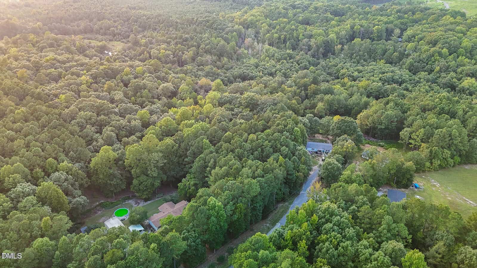 Aerial view of a forested area with several houses and a road cutting through the trees; one house has a bright green circular pool in the backyard. Sunlight filters over the densely packed trees.