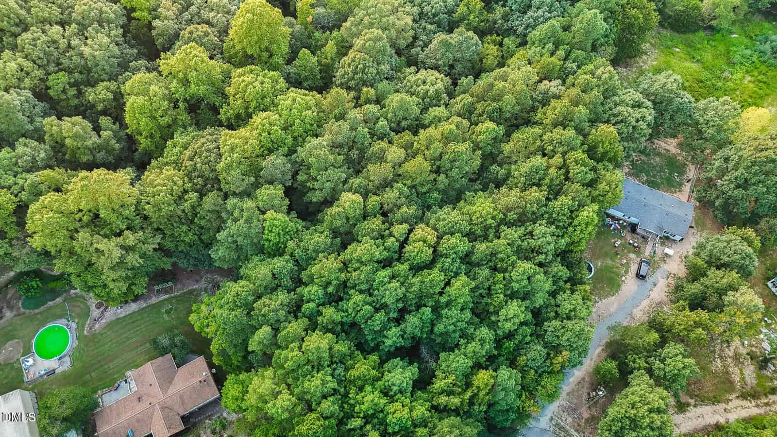 Aerial view of a dense, green forest surrounded by houses, a lawn with a small round pool, and a gray-roofed building with a driveway on the right. The scene appears peaceful and lush with greenery.