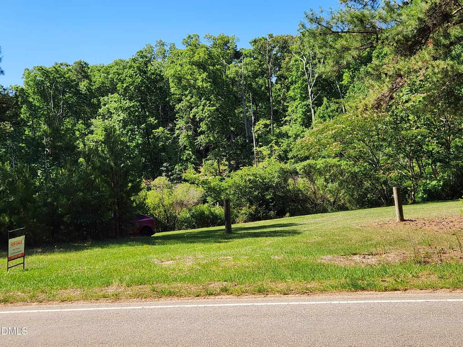 A grassy roadside area bordered by trees and dense greenery under a clear blue sky. A "For Sale" sign is visible in the grass near the road, and part of a red vehicle is partially hidden among the trees.