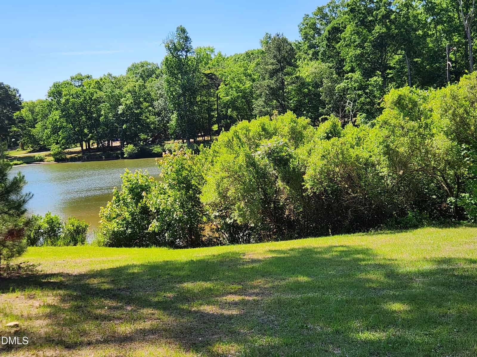 A sunny lakeside scene with green grass, dense bushes, and trees surrounding a calm body of water under a clear blue sky.