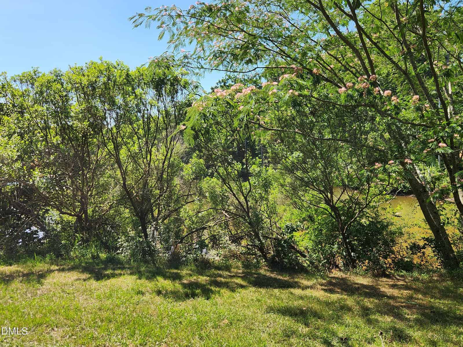 Sunlight filters through green trees and shrubs near the edge of a calm pond or river, with grassy ground in the foreground and pink flowers blooming on some branches.