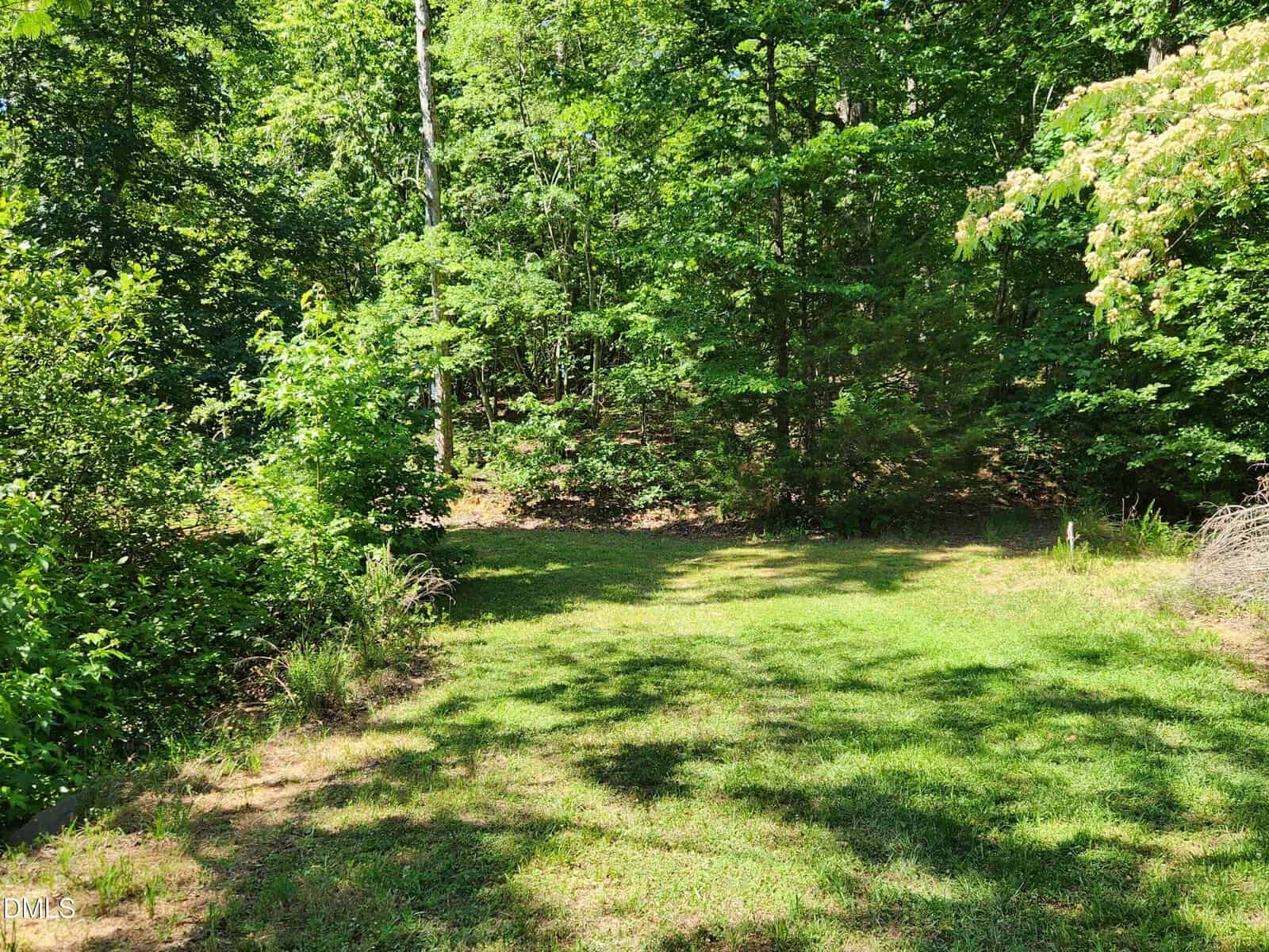 A sunlit grassy clearing bordered by dense green trees and bushes, with patches of sunlight and shade creating a peaceful, natural outdoor scene.