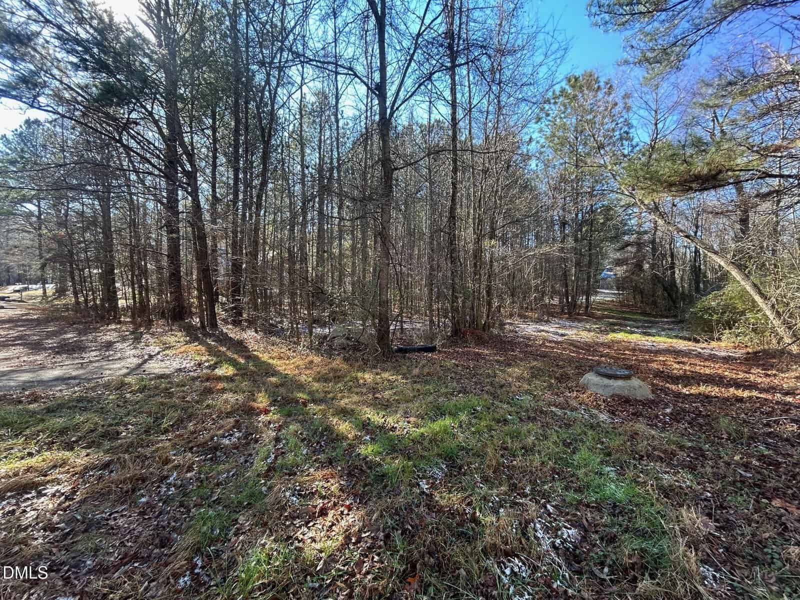 A wooded area with tall trees, sparse grass, and patches of sunlight. A dirt path is visible to the right, with a concrete cylinder on the ground nearby. The sky is clear and blue.