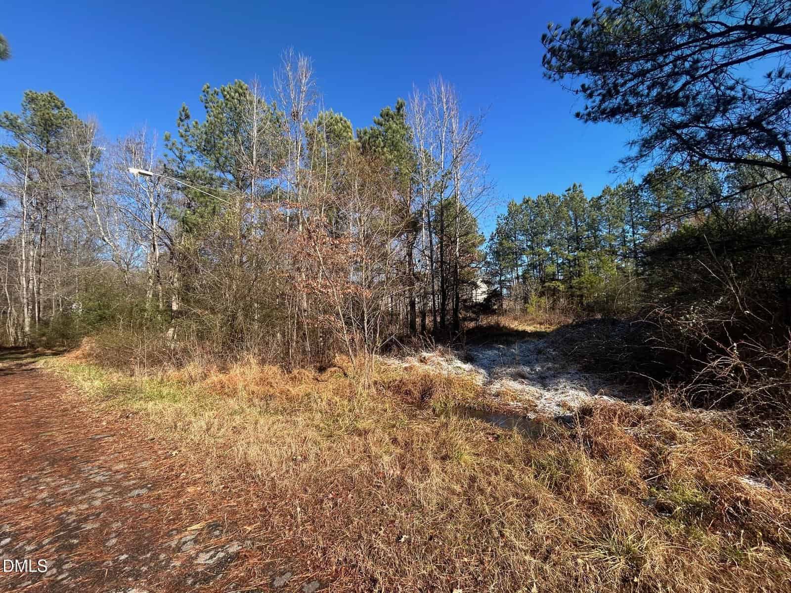 A dirt path runs alongside a grassy area with scattered pine trees and bushes under a clear blue sky. Sunlight highlights the dry grass, and some fallen leaves are visible on the ground.