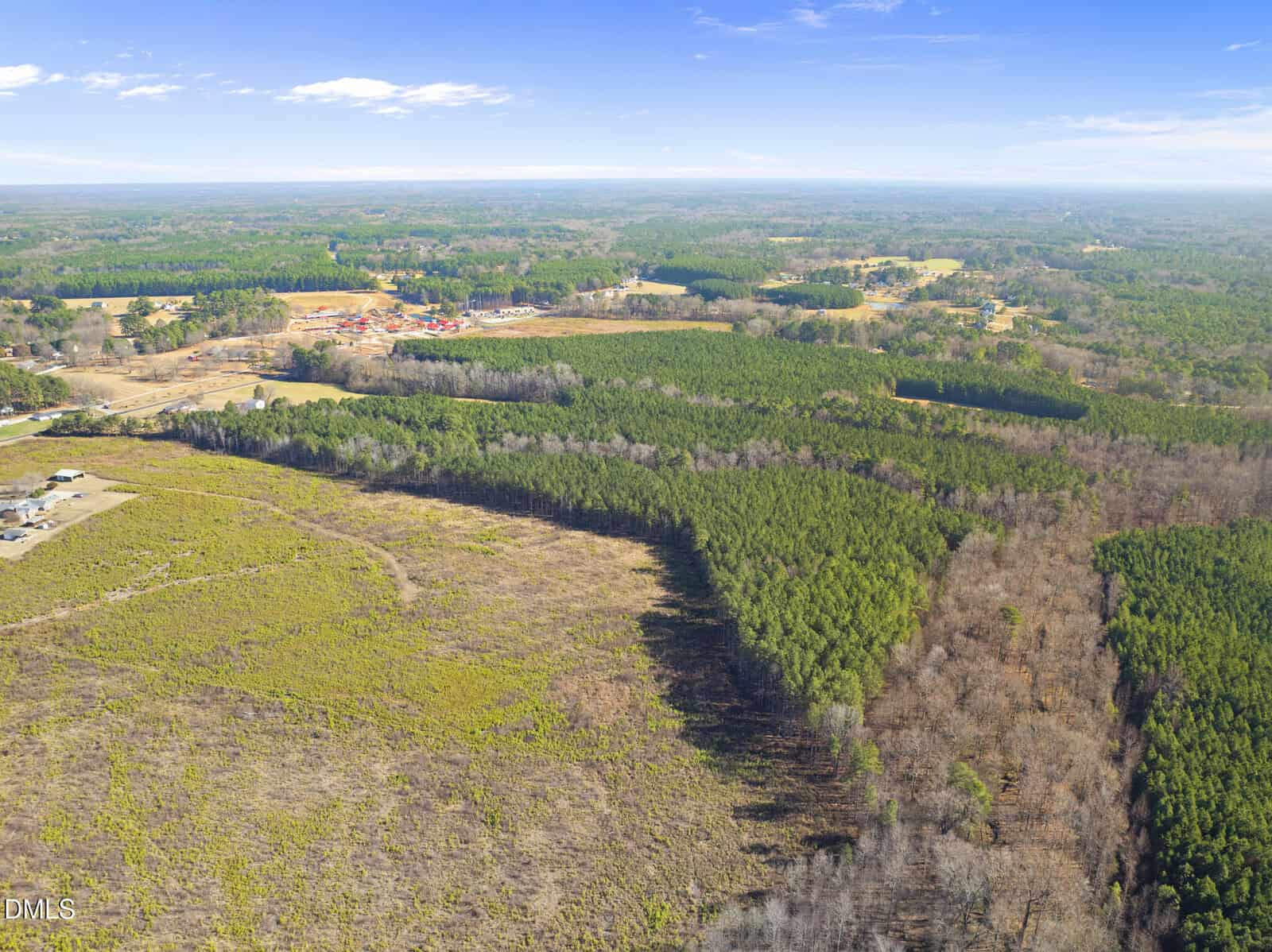Aerial view of a rural landscape with dense green forests, open grassy fields, a few scattered houses, and a clear blue sky above.