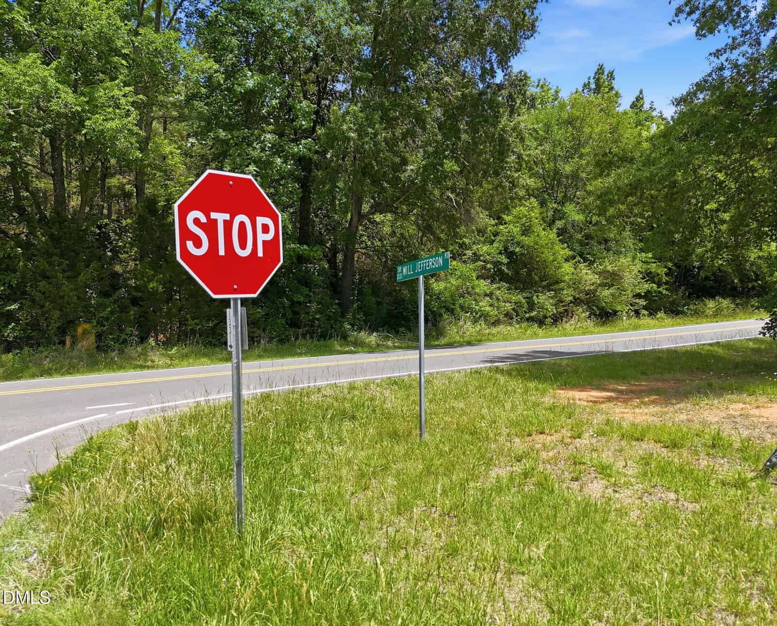 A red stop sign stands at the edge of a curved road near a green street sign labeled "Mt. Jefferson Rd," surrounded by grass and trees under a blue sky.