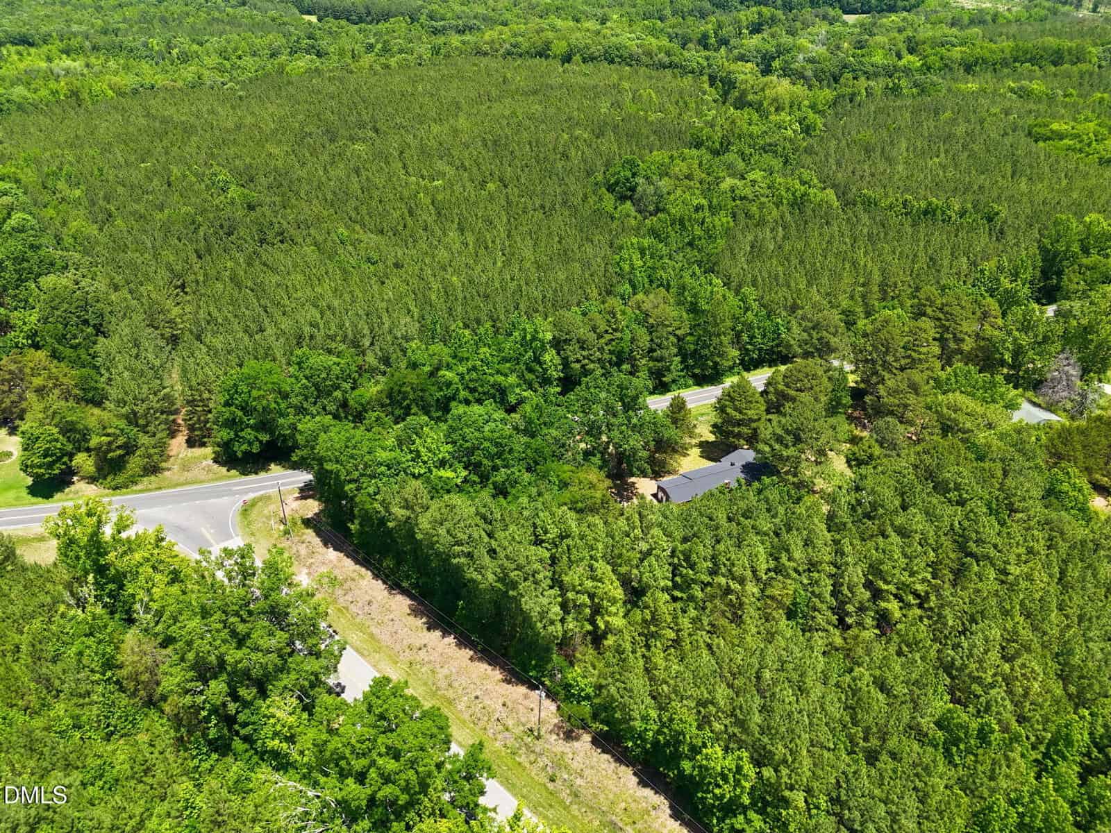 Aerial view of a dense, green forest intersected by roads, with a house partially visible among the trees near the center of the image.