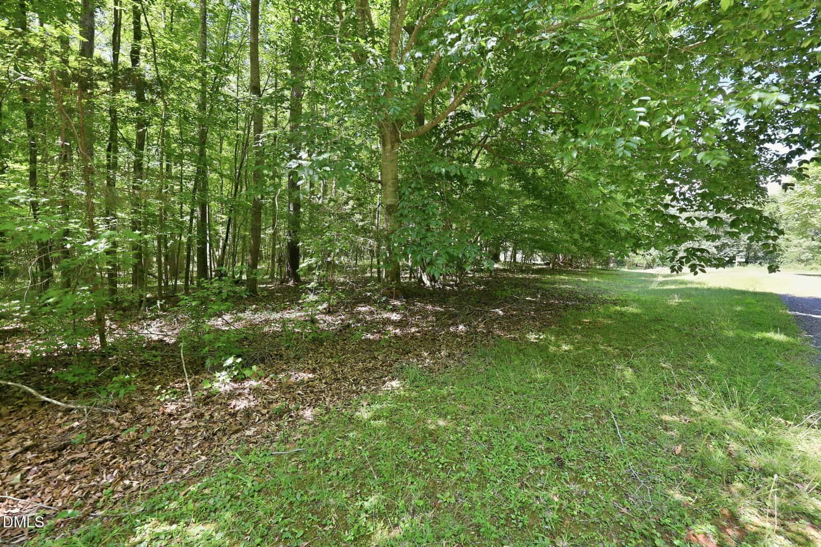 A sunlit, grassy area at 1532 Dogwood Drive in Oxford is bordered by dense woods with tall green trees casting shade. Fallen leaves cover the ground near the trees, and sunlight filters through the foliage.