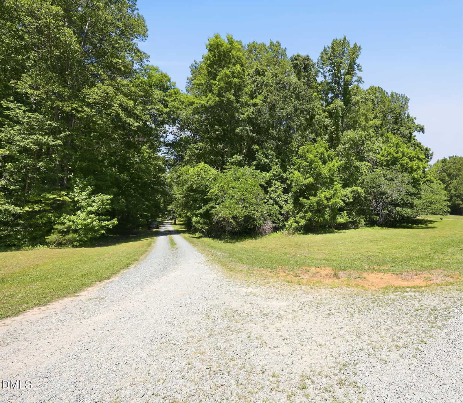 A gravel driveway curves through a grassy clearing bordered by tall, leafy green trees under a clear blue sky.