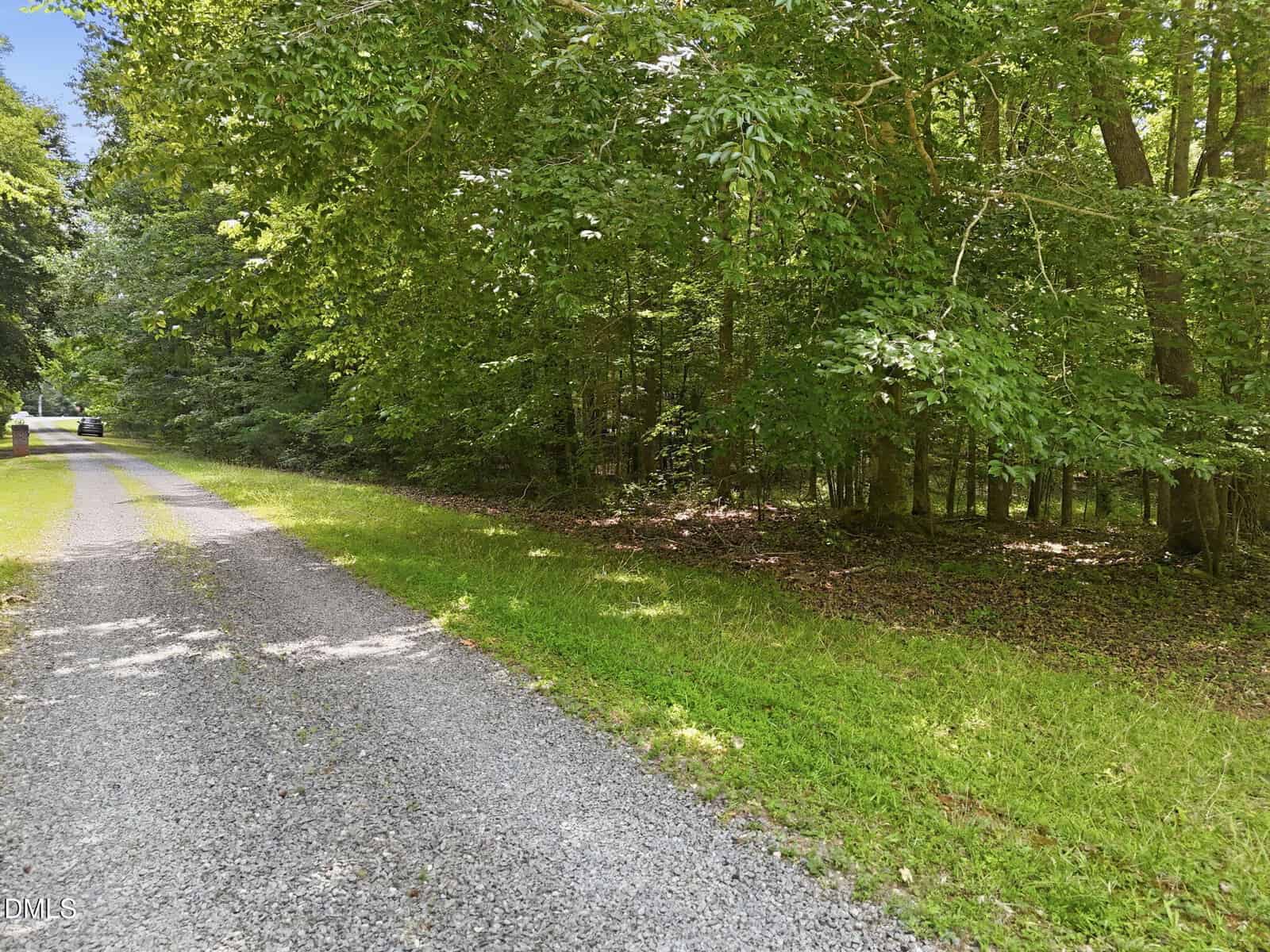 A gravel driveway curves alongside a densely wooded area with tall green trees and lush grass, leading to a parked vehicle visible in the distance under sunlight.