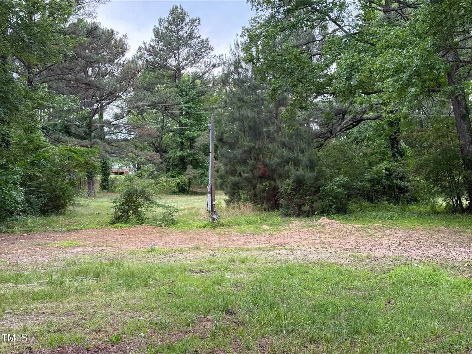 A grassy, partially cleared lot bordered by tall trees and dense greenery, with a single utility pole standing near the center under a cloudy sky.