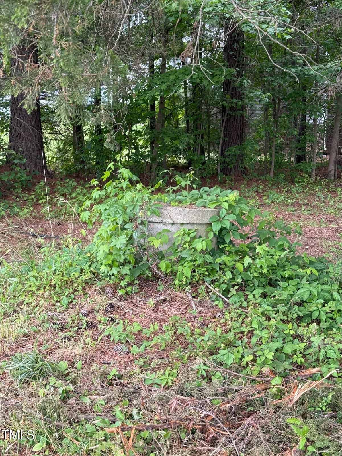 A round concrete structure, partially covered with green vines and plants, sits on the ground near a wooded area with tall trees.