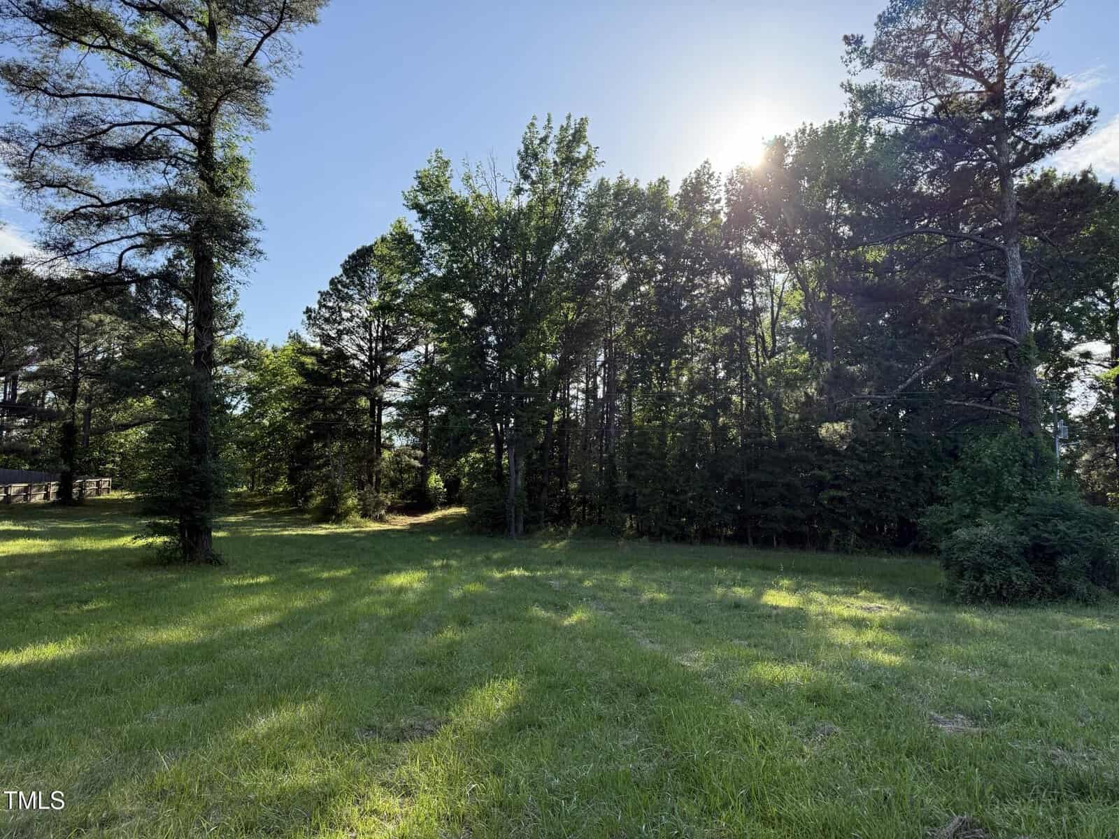 A grassy field with tall trees and sunlight shining through the branches, casting shadows on the ground under a clear blue sky.