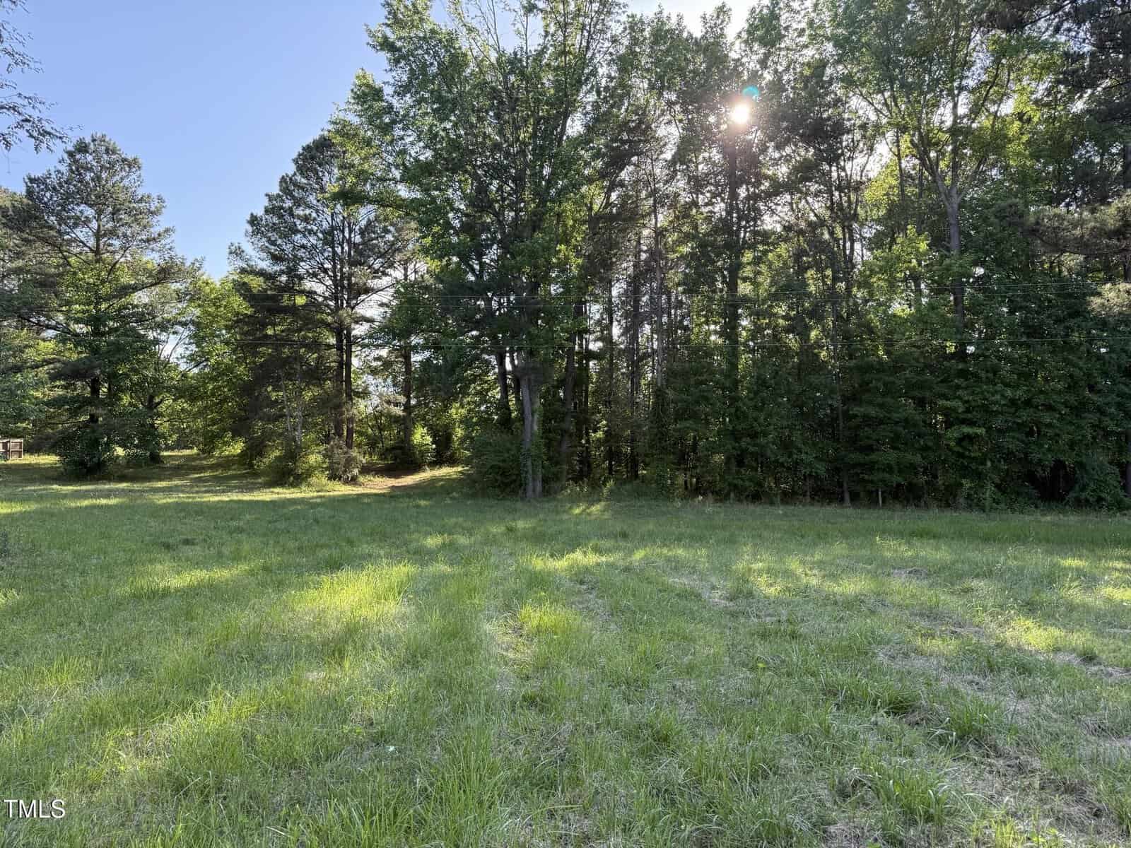 A grassy, sunlit clearing bordered by tall, leafy trees with sunlight streaming through the branches under a clear blue sky.