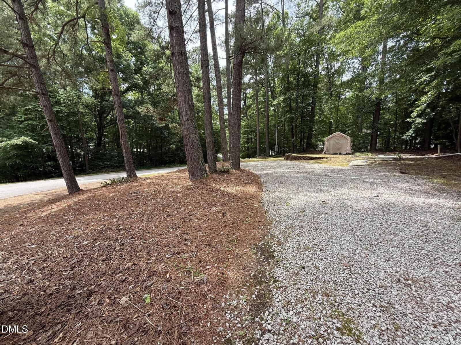 A gravel driveway bordered by pine trees and mulch curves toward a small beige shed; dense green forest surrounds the area, and a paved road is visible to the left.