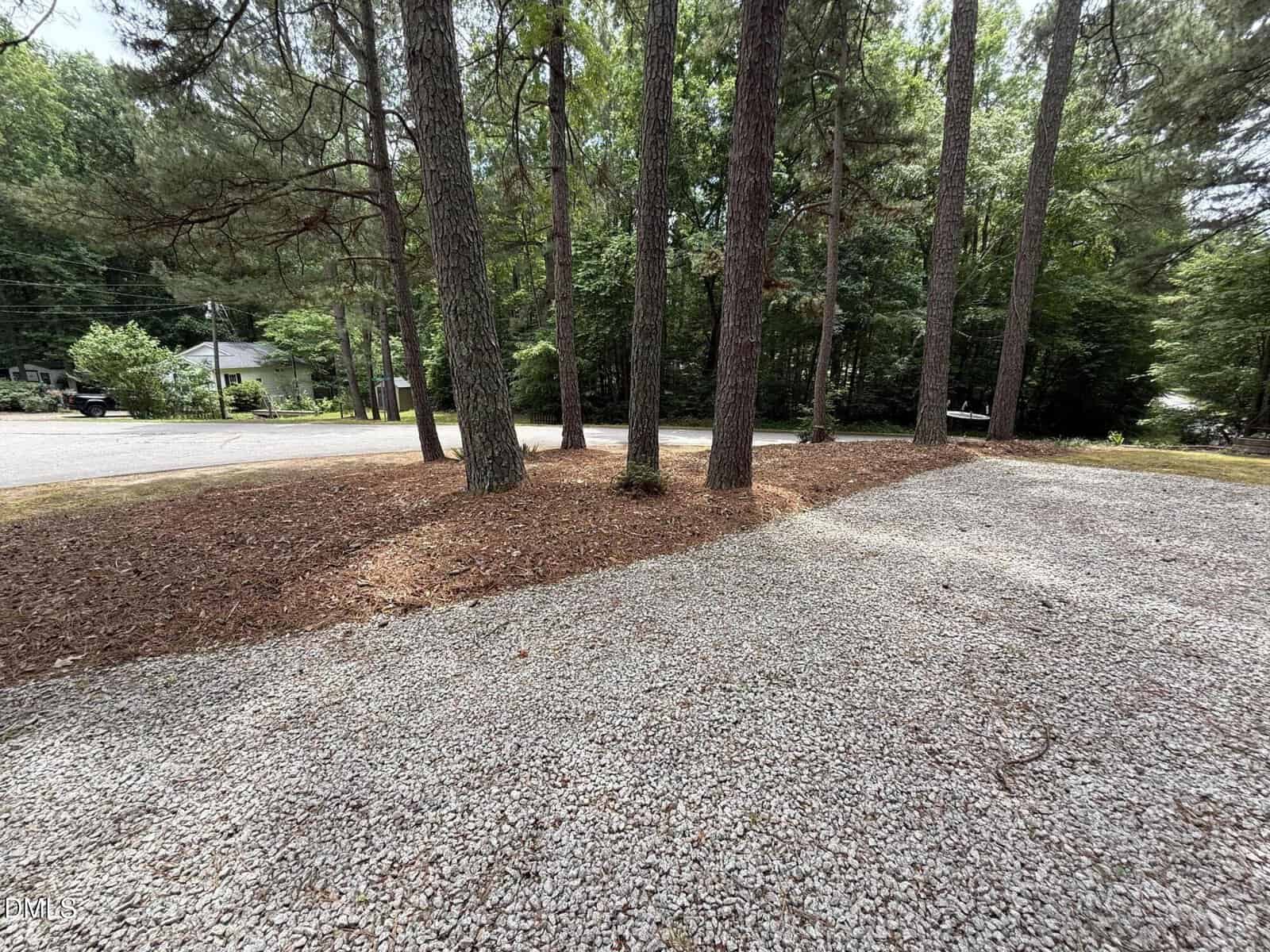 A gravel driveway curves around several tall pine trees with brown pine needles on the ground. A quiet residential street and green trees are visible in the background.