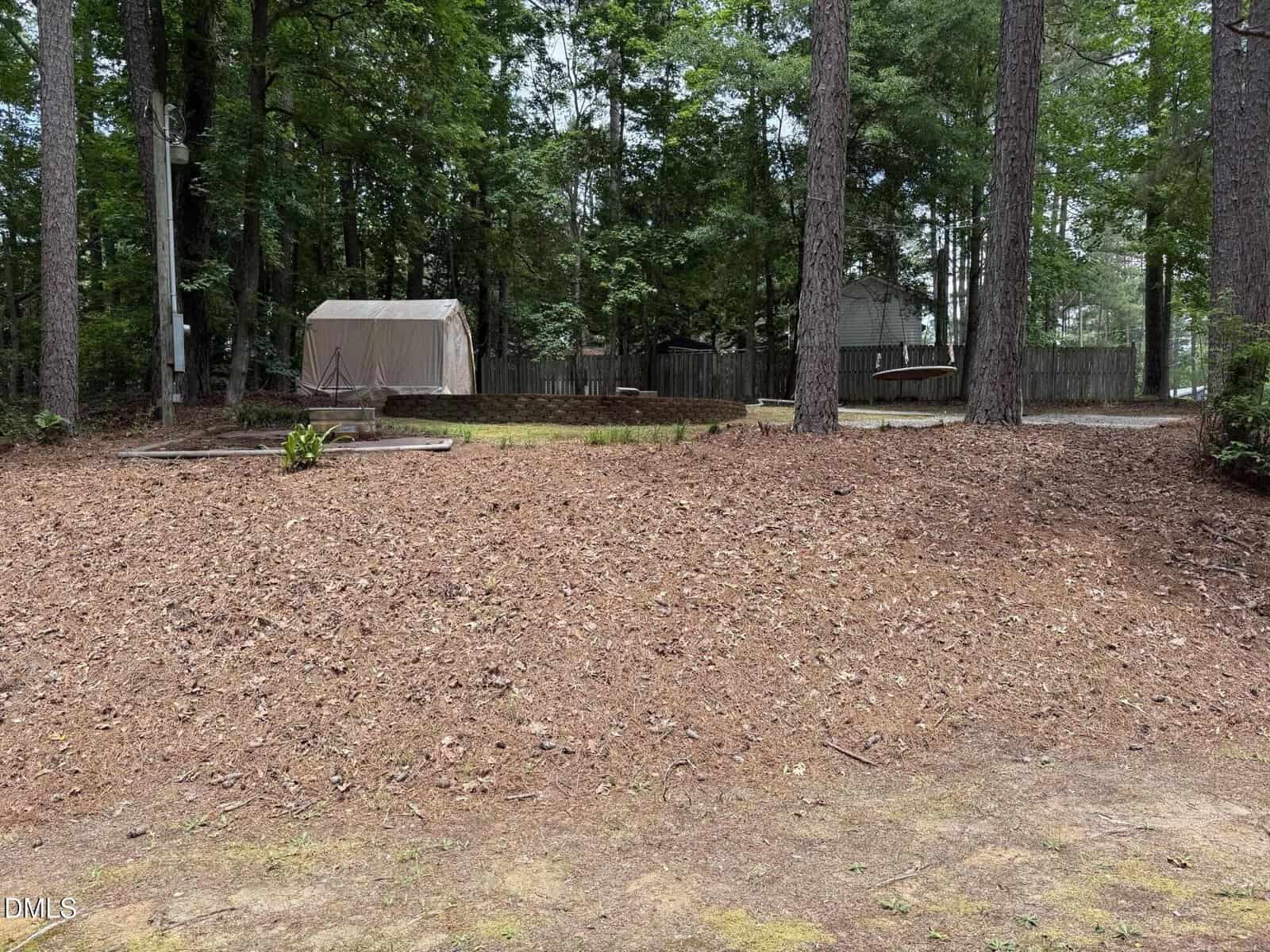 A slightly sloped, pine needle-covered yard with tall trees, a small shed, and a fenced area in the background, surrounded by a wooded area.