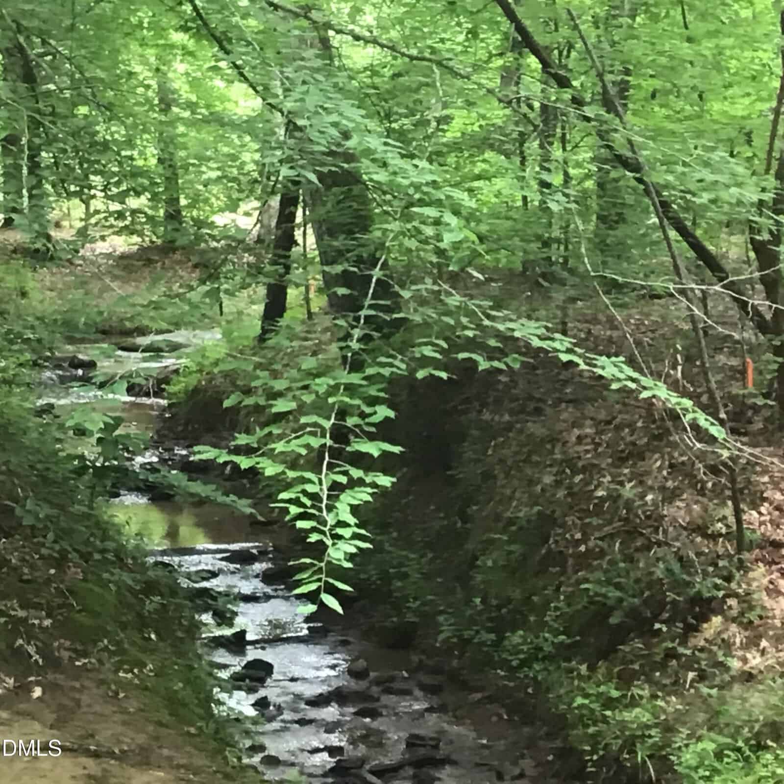 A small creek flows through a forest with lush green trees and vegetation. Sunlight filters through the leaves, and rocks are visible in the water. The scene appears peaceful and natural.