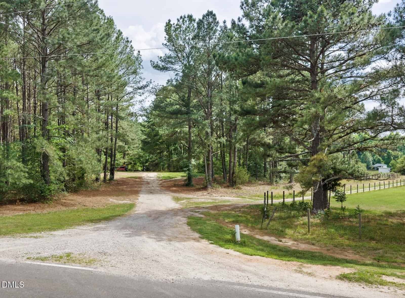 A gravel driveway splits into two paths and leads into a wooded area with tall pine trees on both sides; a grassy field with a fence is visible to the right.
