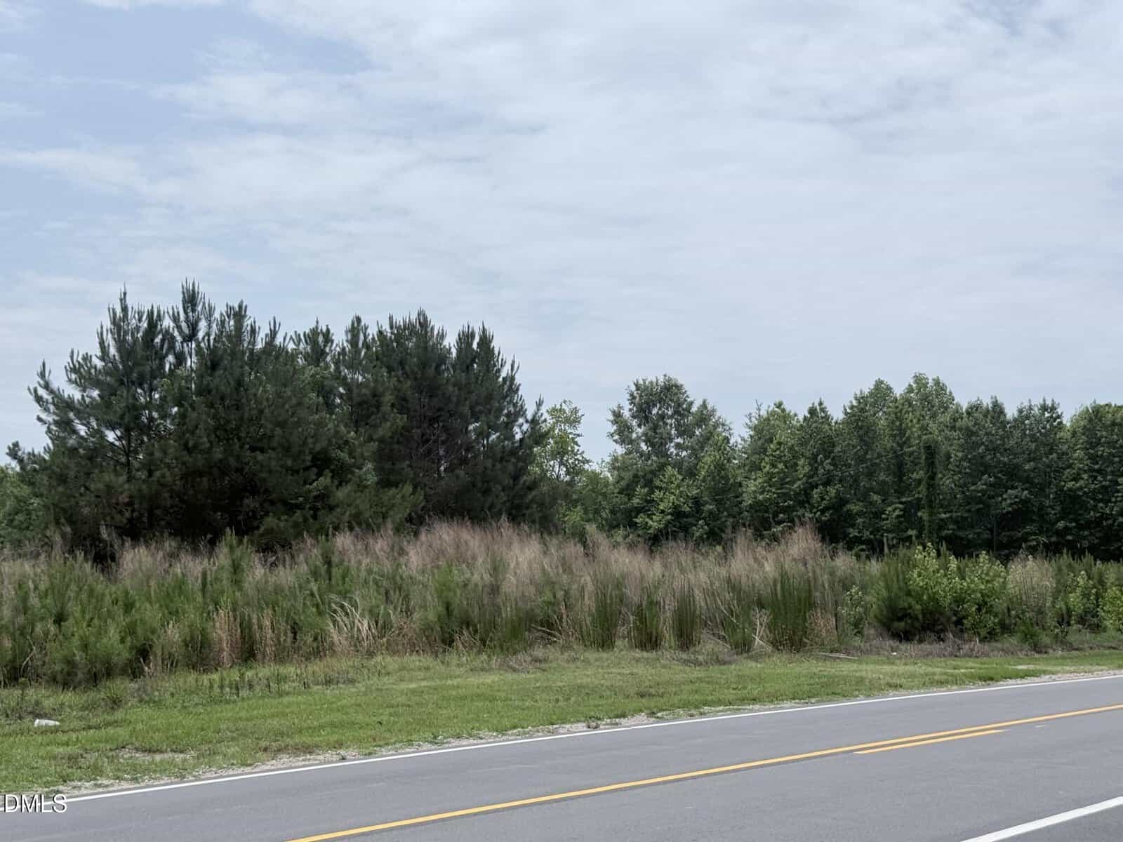 A two-lane road runs alongside tall grass and dense green trees under a mostly cloudy sky.
