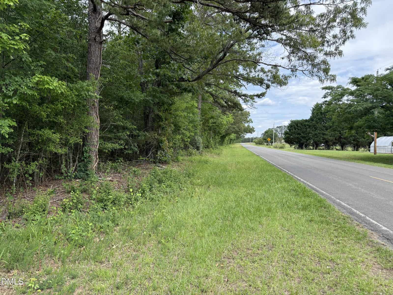 A rural two-lane road runs beside dense green trees and grass under a partly cloudy sky. The road stretches into the distance with utility poles visible along the right side.